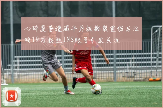心碎夏普遭遇半月板撕裂重伤后注销19万粉丝INS账号引发关注